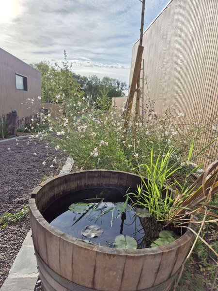 Domaine AbracadaRoom : DOMAINE DES 7 CEPAGES - Image 21