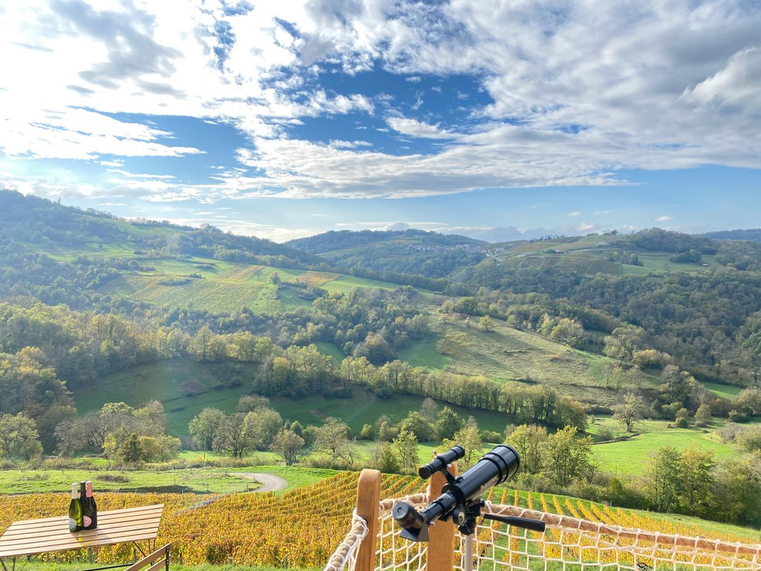 Belvédère du Haut Bugey - Refuge dans les cépages à Boyeux-Saint-Jérôme (14)