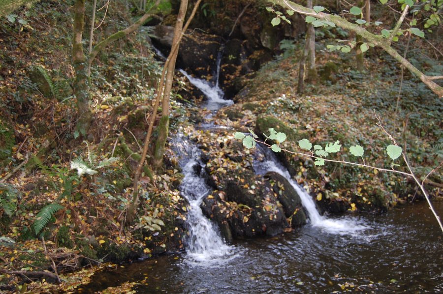 Domaine AbracadaRoom : Le Jardin de Kym - Image 8