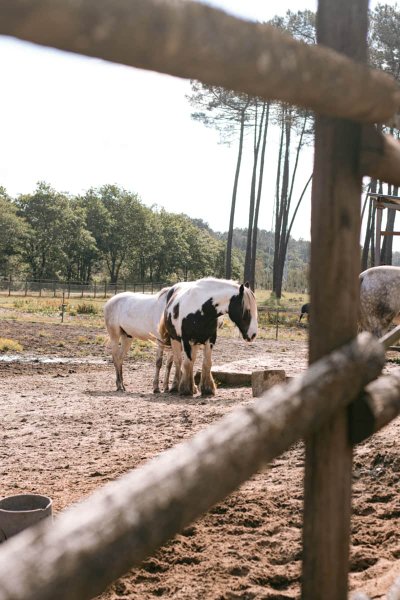 Domaine AbracadaRoom : Domaine El Campo - Image 7