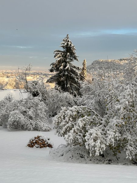 Hébergement AbracadaRoom : Mon Cabanon - Image 13