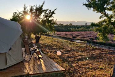 Les Lavandes à Valensole (1)