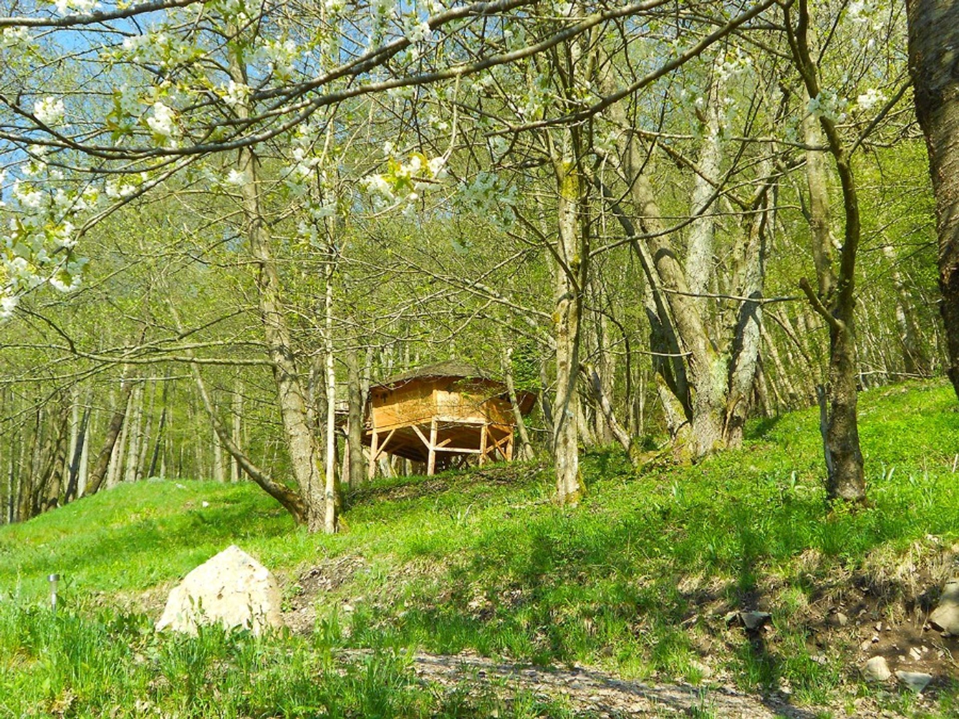 la Cabane l'Appel de la Forêt