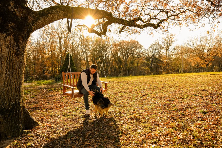 Hébergement AbracadaRoom : Homnest - Prairie des Âmes Heureuses - Occitanie - Image 12