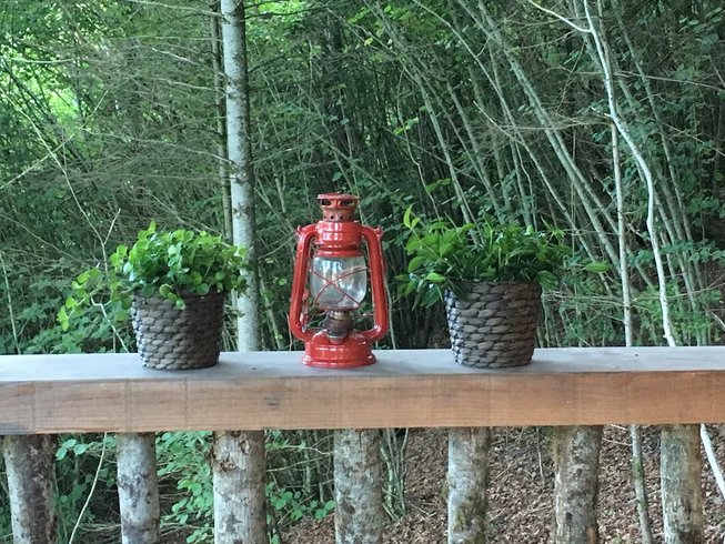 Hébergement AbracadaRoom : Cabane Erable - Image 29