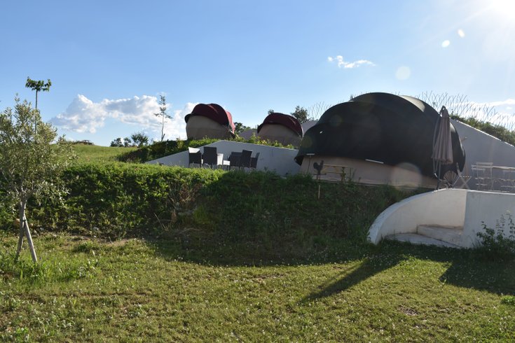 Hébergement AbracadaRoom : Bulles Bambou, Vignes et Micocoulier - Image 7