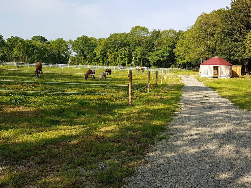 Hébergement AbracadaRoom : Yourte Clyde & Spa - Image 10