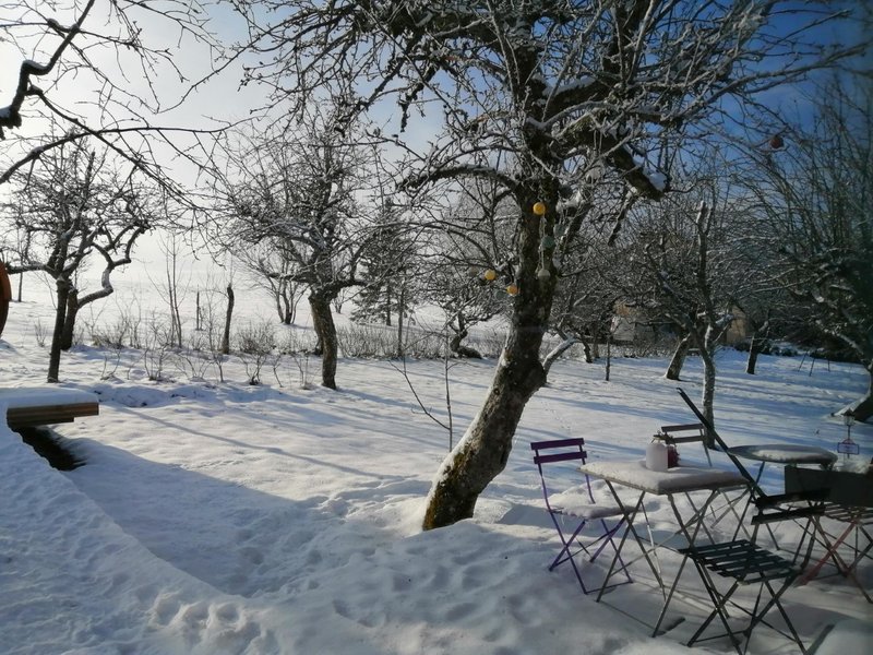 Hébergement AbracadaRoom : Tiny House  Ô P'tit Nid Milie  & son sauna : Classée 1 étoile - Image 32