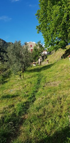 Domaine AbracadaRoom : Aghja Suttana - Image 2