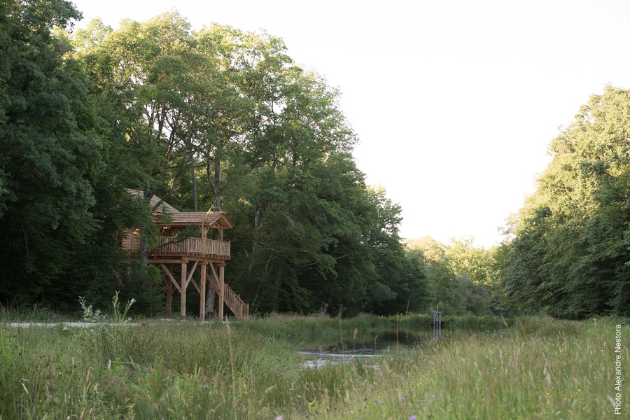 cabane dans les arbres avec spa-séjour insolite-en famille-centre-abracadaroom