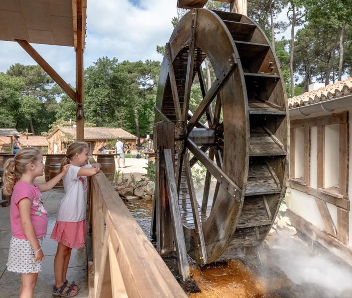 Domaine AbracadaRoom : Flower Camping Au Bois des Biches - Image 30