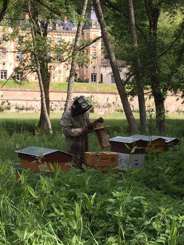 Domaine AbracadaRoom : Château de Perreux - Image 11