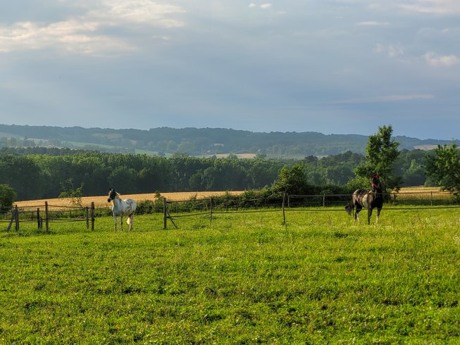 Domaine AbracadaRoom : Domaine Arcadia - Image 5