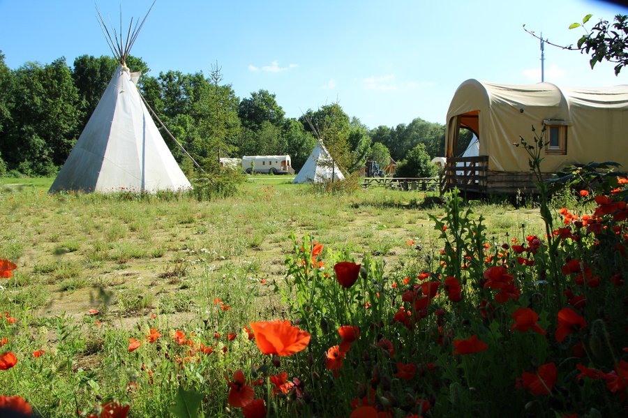 Hébergement AbracadaRoom : Roulotte Western City n°2 - Image 7