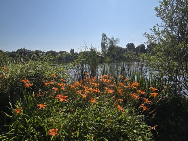 Domaine AbracadaRoom : Au Lit D'Ô - Image 4