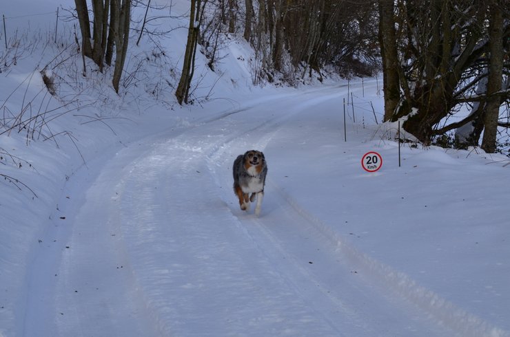 Domaine AbracadaRoom : Monchâteau étoilé - Image 32