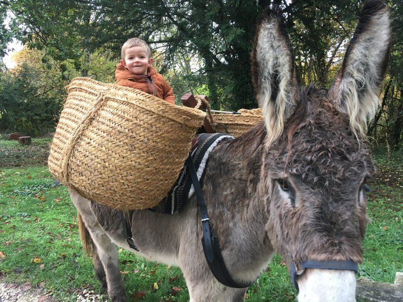 Hébergement AbracadaRoom : Yourte proche des ânes - Image 10