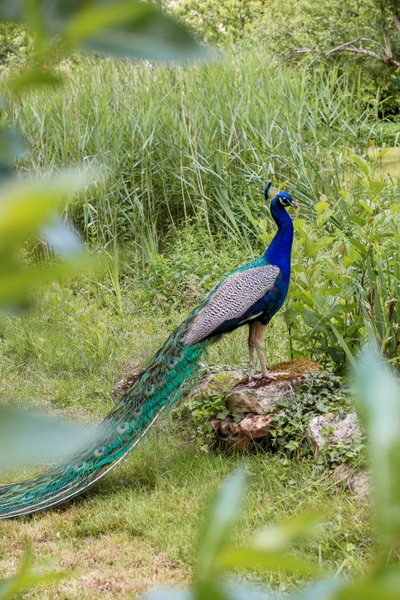 Domaine AbracadaRoom : Domaine de Neuville - Cabanes sur l'eau d'exception - Image 17