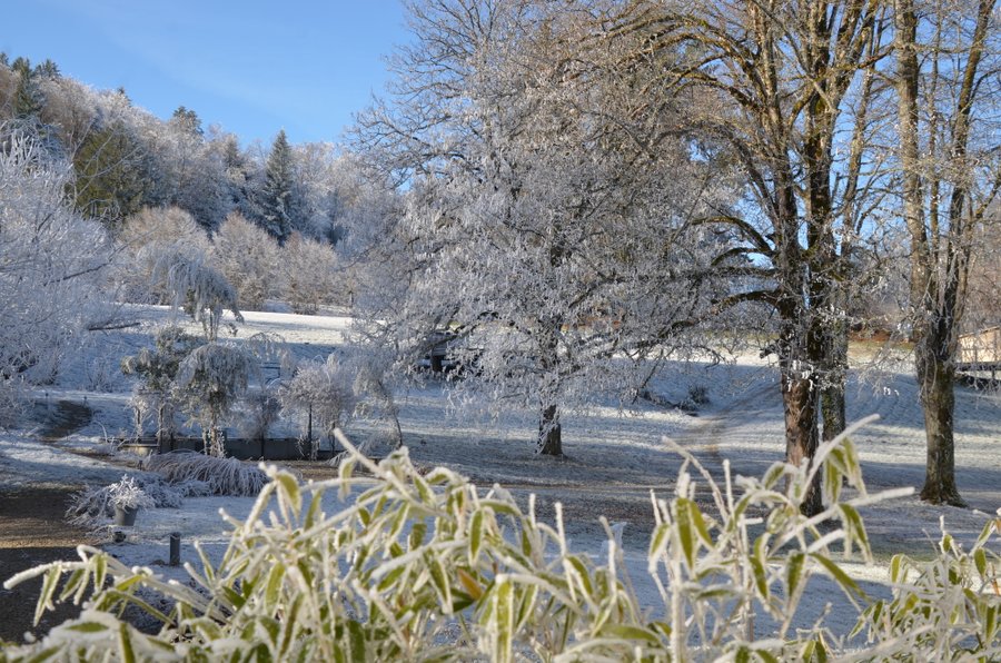 Domaine AbracadaRoom : Monchâteau étoilé - Image 56