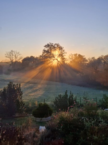 Domaine AbracadaRoom : Bali'Bulle - Image 4