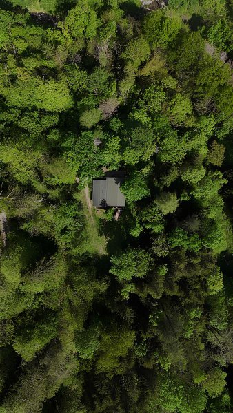 Domaine AbracadaRoom : Domaine Oz'Arbres - Image 5