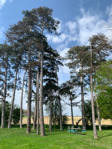 Domaine AbracadaRoom : La Bastide de Negra - Image 3