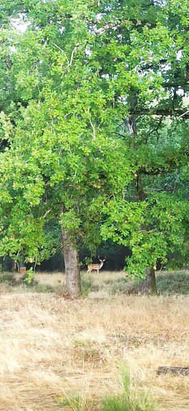 Hébergement AbracadaRoom : La Ruche - Image 12