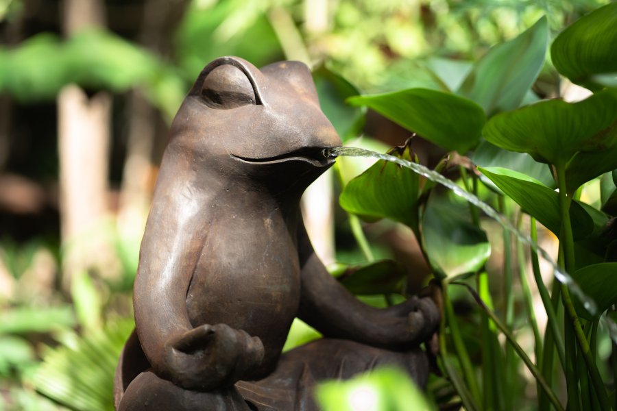 Domaine AbracadaRoom : Au Jardin des Colibris - Image 5