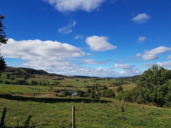 Domaine AbracadaRoom : La Gazelle Perchée - Image 1