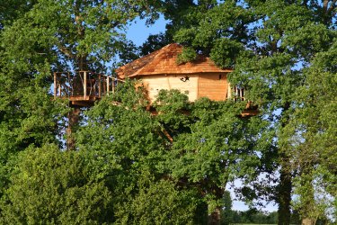 Cabane des Lucioles à La Chapelle Chaussée (2)