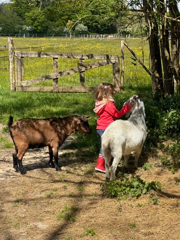 Domaine AbracadaRoom : Les roulottes des amis de Wonky - Image 13