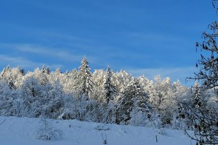 Monchâteau étoilé