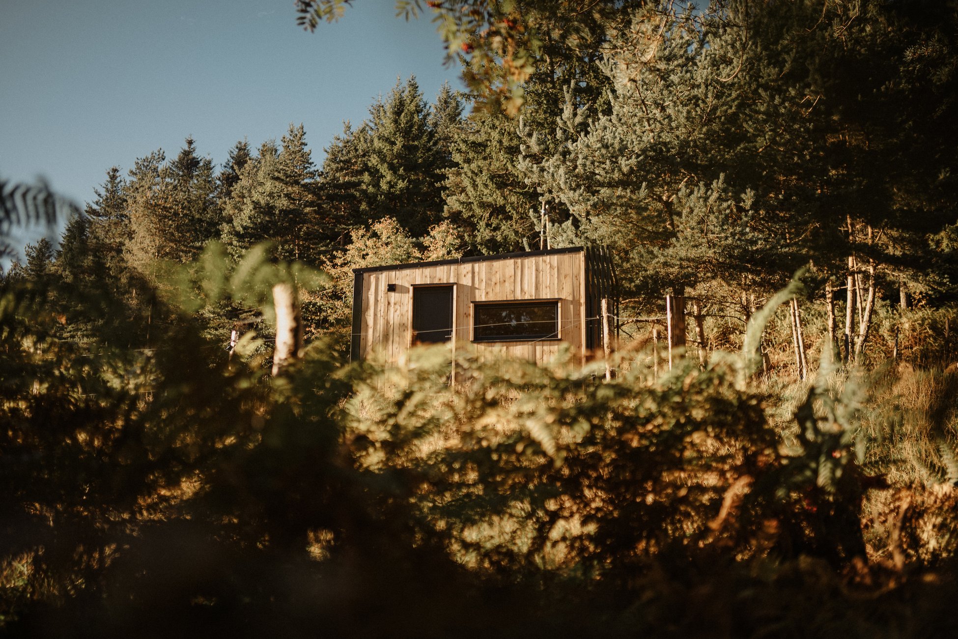 Hébergement UnicStay : Homnest - L'Instant Sauvage - Vue Cimes & Forêt à Riotord