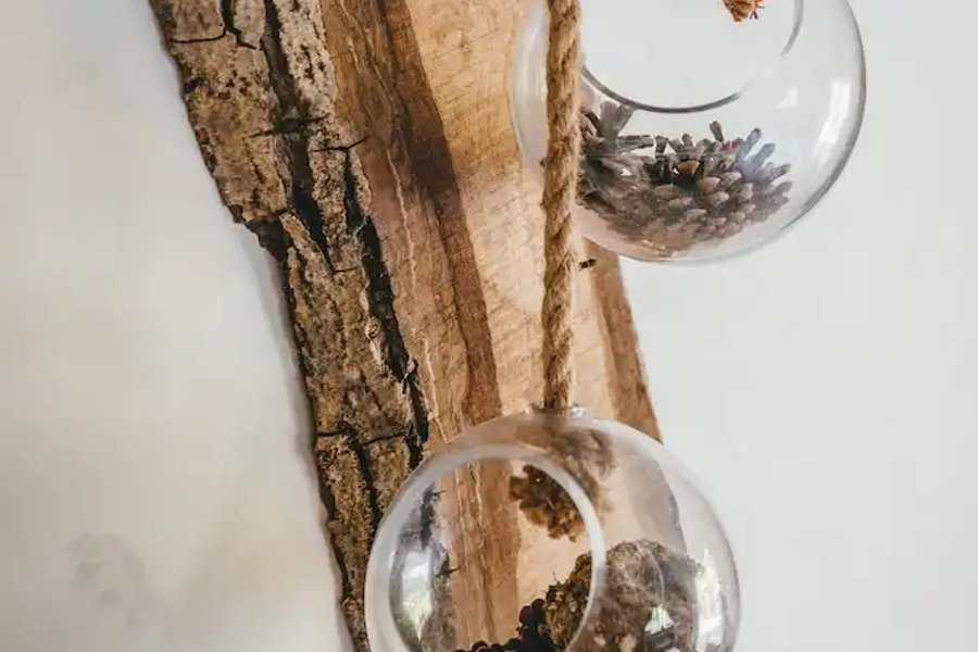 Bois d'Arambe & Spa — photo 2