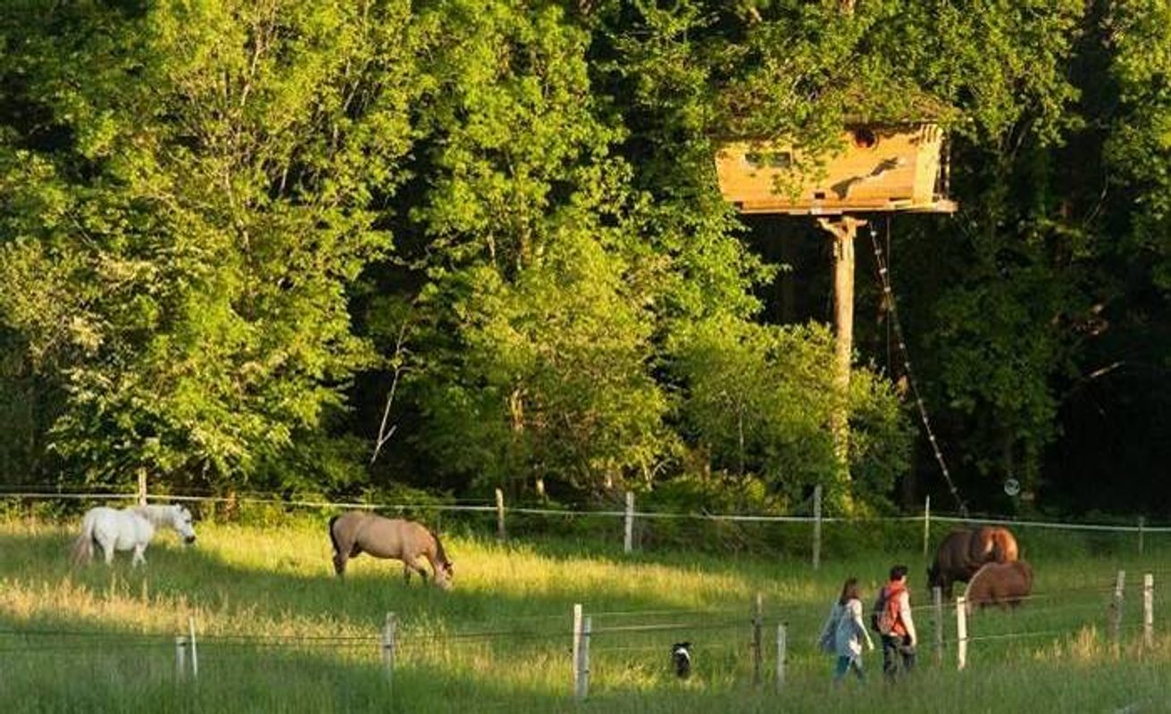 La Cabane perchée Neh er lenn à Ploemel (9)