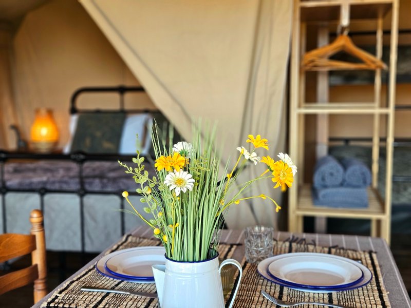 Hébergement AbracadaRoom : Safari Tent 1 - Le Ranch Camping - Image 5