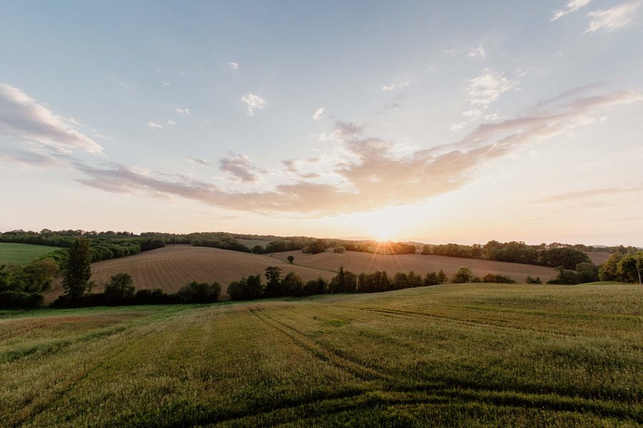 Hébergement AbracadaRoom : Bulle au sommet du Chêne & Spa - Image 14