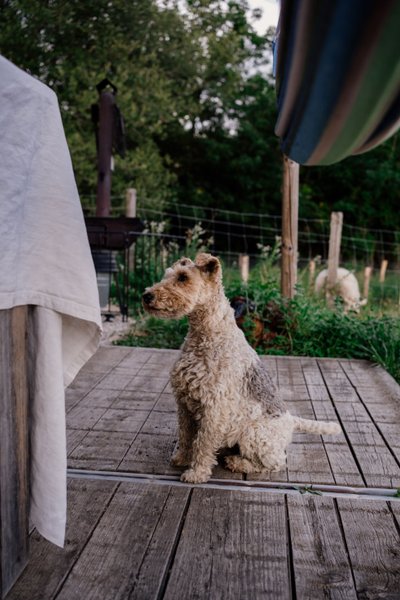 Domaine AbracadaRoom : Un Lit Au Pré - La ferme de la Flocellière - Image 20