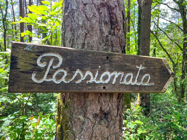 Hébergement AbracadaRoom : La Yourte Passionata - Image 3