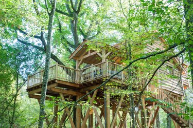 La Cabane du Grand Chêne & Spa à La Bussiere (1)
