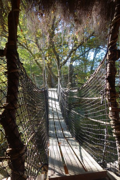 Hébergement AbracadaRoom : Cabane La Pitalaya - Image 6