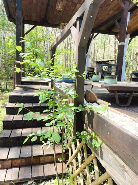 Hébergement AbracadaRoom : L'O2 : la Cabane vitrée panoramique - Image 13