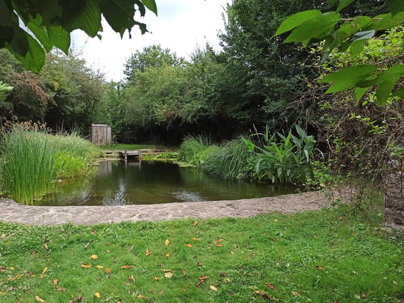 Hébergement AbracadaRoom : Roulotte climatisée avec piscine naturelle - Image 5