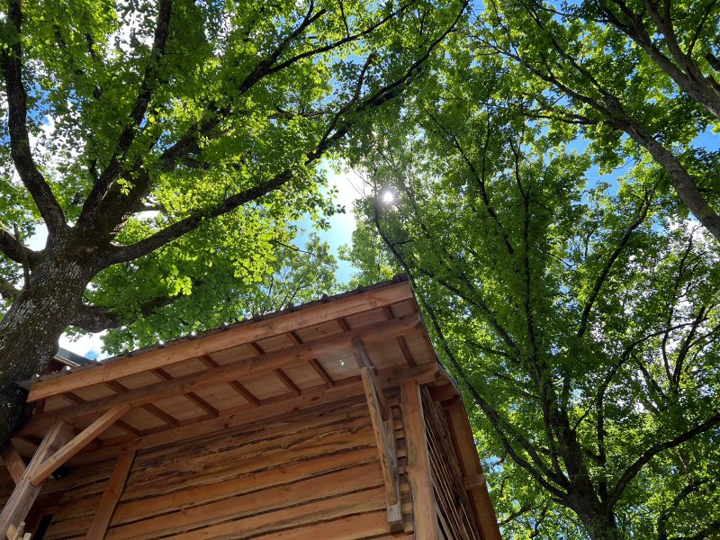 Hébergement AbracadaRoom : Cabane Petit Bois & Spa & Sauna - Image 41