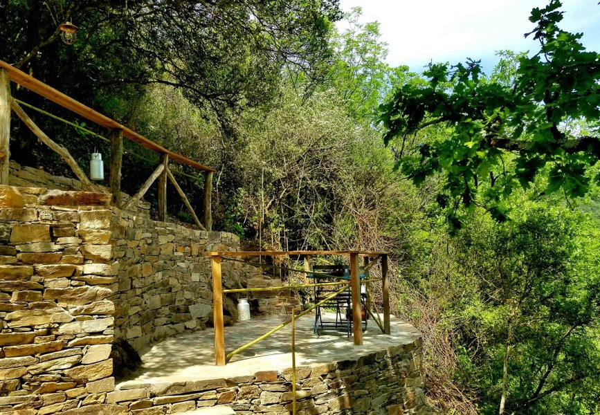 Hébergement AbracadaRoom : Cybèle, bulle perchée de la vallée - Image 15