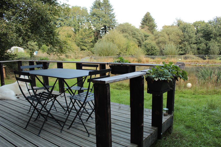 Hébergement AbracadaRoom : Chalet cosy en lisière de forêt - Image 6