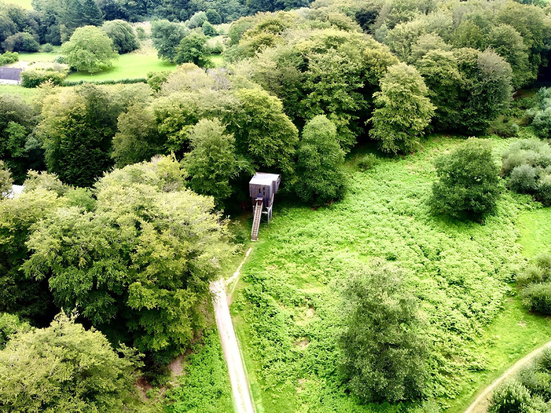 Cabane Spa dans les arbres