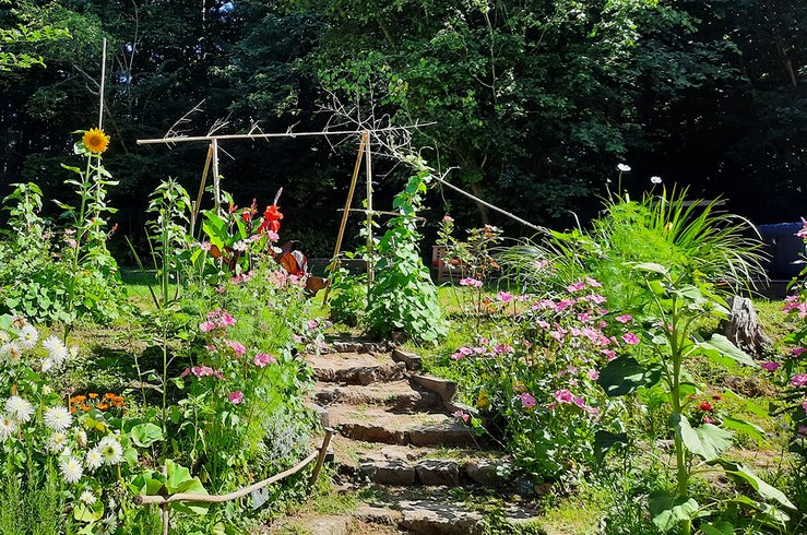 Domaine AbracadaRoom : Drakaina - Image 6