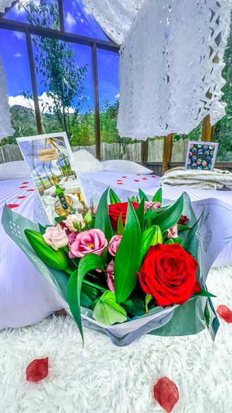 Domaine AbracadaRoom : Chalet en verre sous une pluie d’étoiles - Image 34