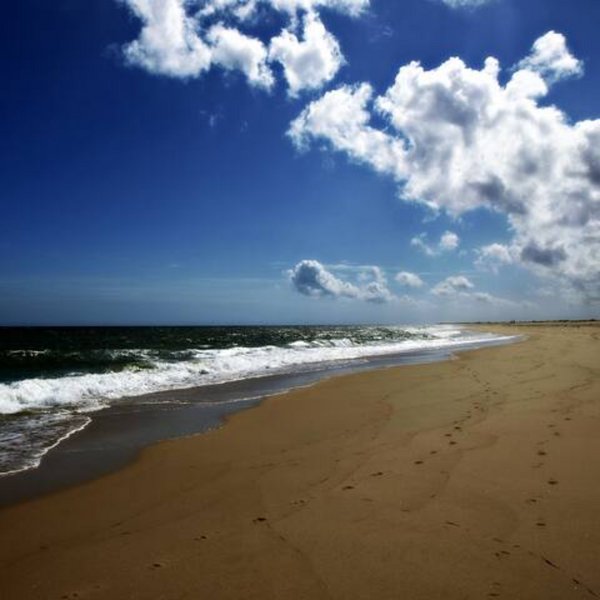 Hébergement AbracadaRoom : Tiny contemporaine & Spa - Image 39